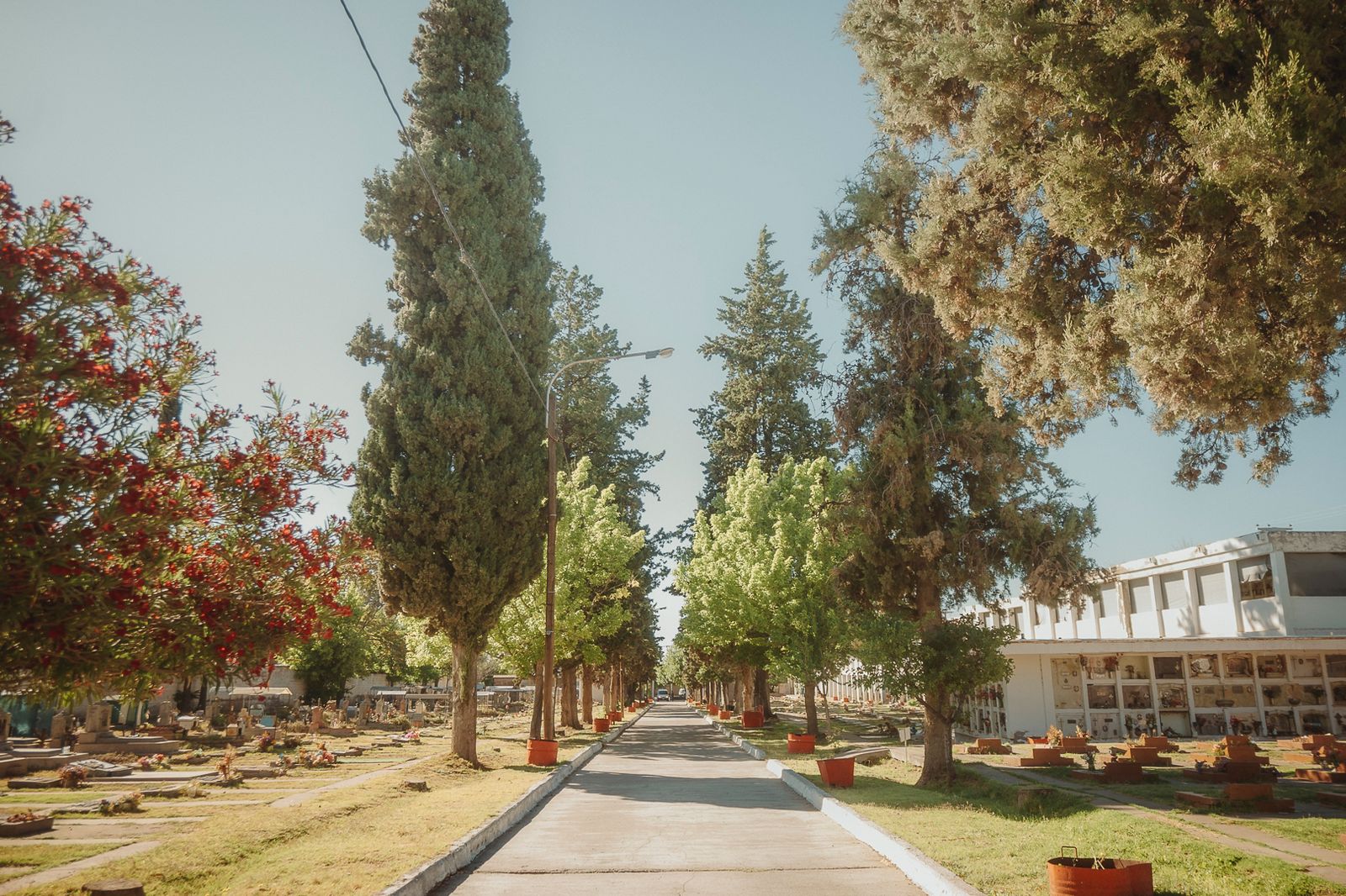 Comunicado Cementerio Municipal Tupungato 