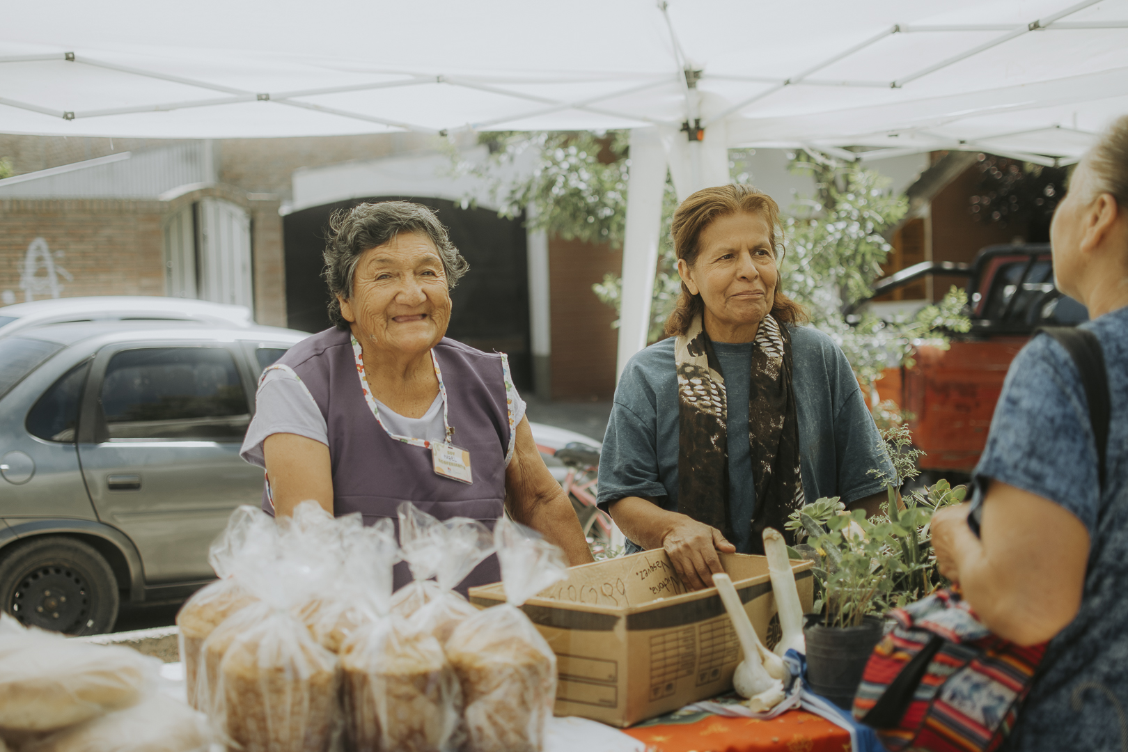 Viernes de Ecoferia: veni a conocer el mercado de productos frescos y artesanales en la Plaza Piaggi