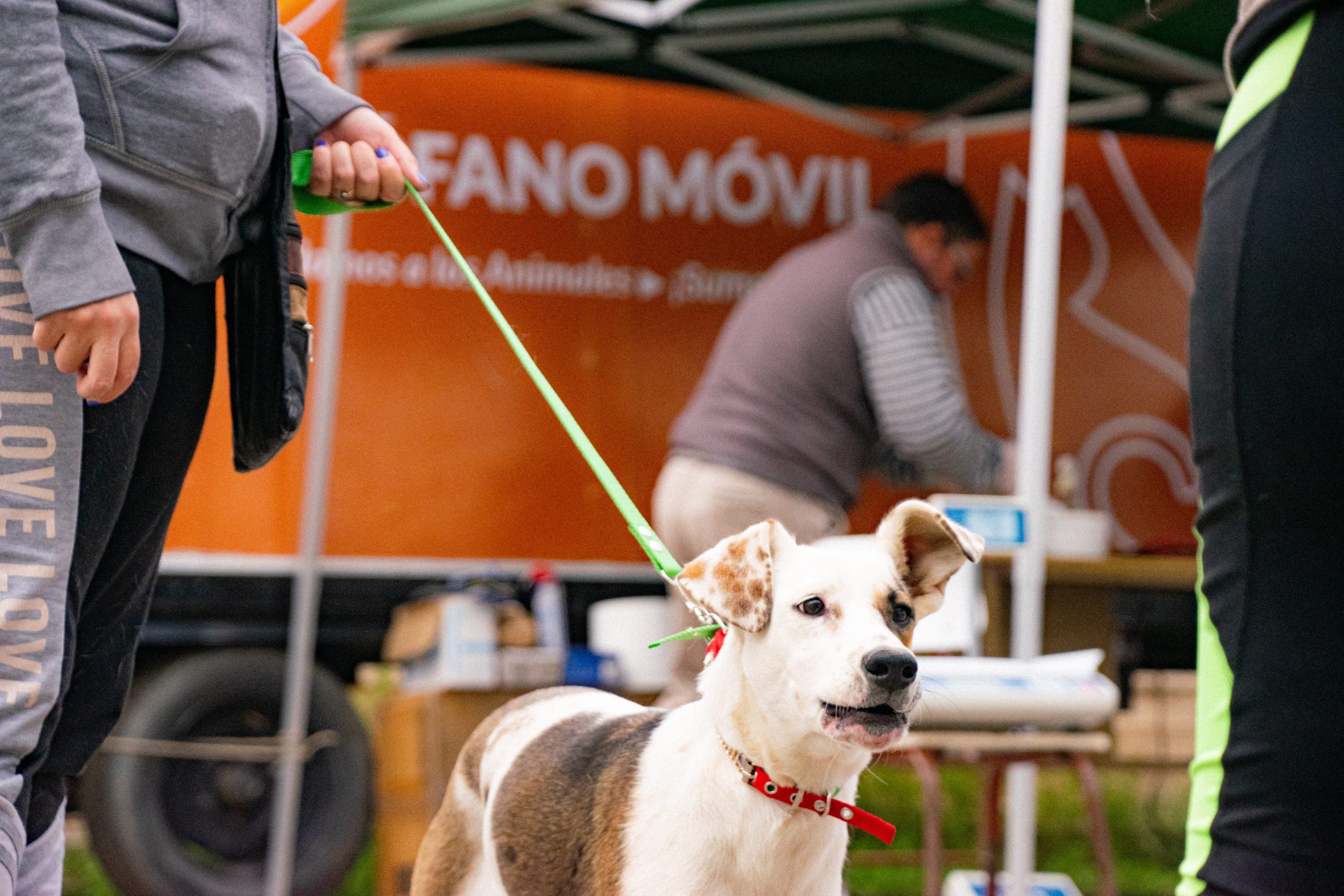 Todo listo: el Quirófano Móvil de Esterilización de Animales Domésticos vuelve a atender en Tupungato