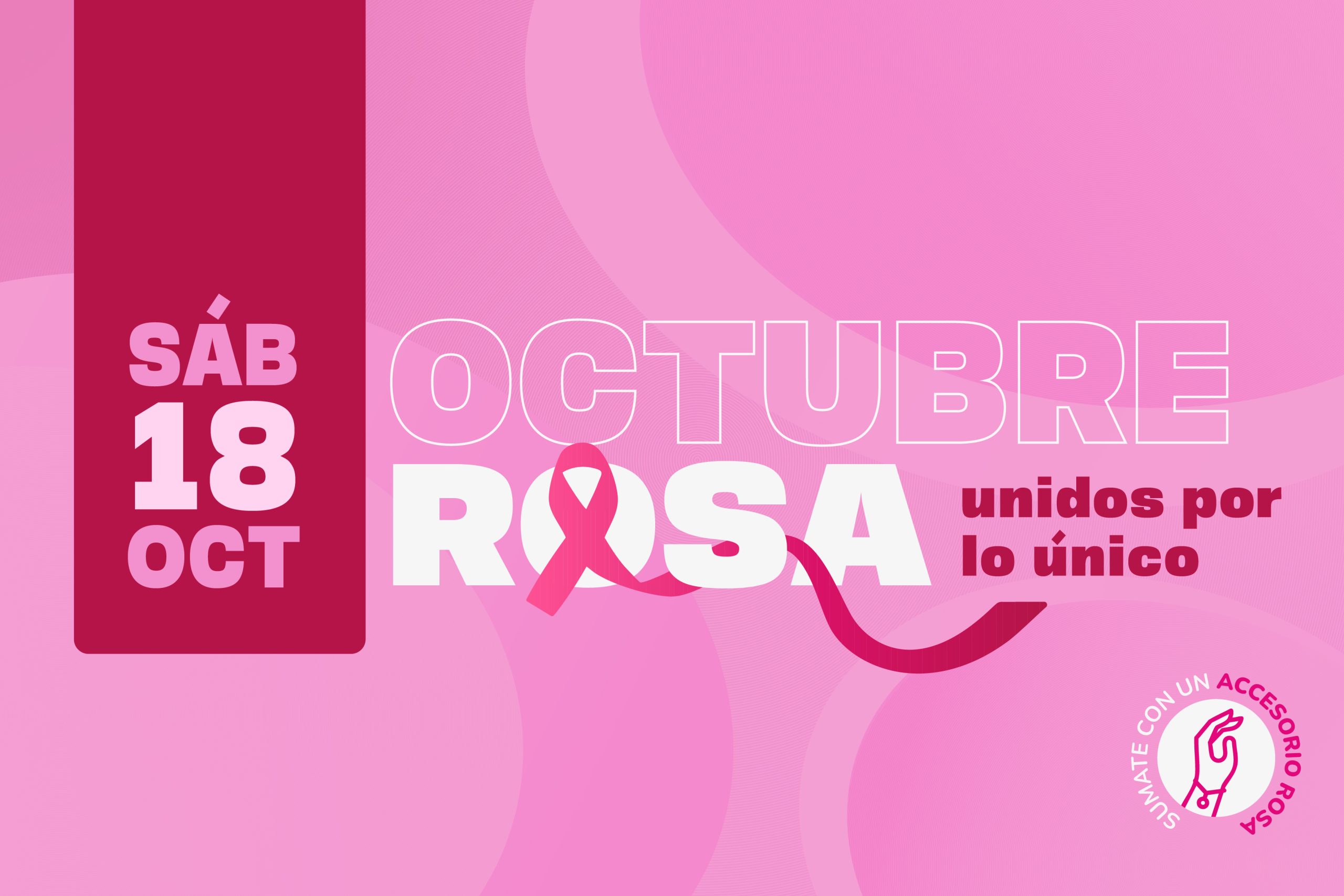Segunda Edición de la Caminata Rosa en Tupungato: «Unidas por lo Único»