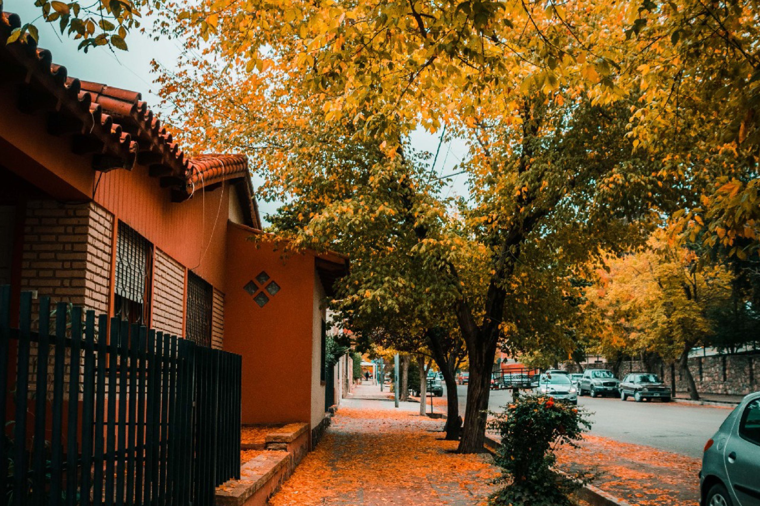 Tupungato recuerda la prohibición de quemar hojas y residuos